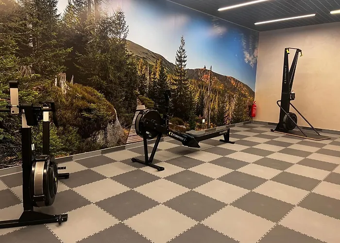 Apartment Park B14-z Dostepem Do Basenu, Sauny, Jacuzzi, Silowni Schreiberhau